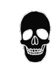 4386skull2