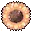 0B_sunflowerdonotsteal