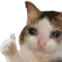 emoji_80