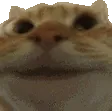 emoji_84