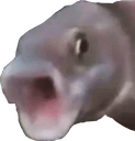 PogFish Discord emoji