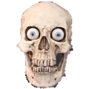 skull