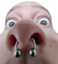 Sniff