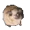 otis