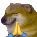 praydoge