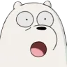 BB_wbbPolar BB_wbbPolar