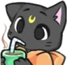 Catsip catsip Discord Emoji