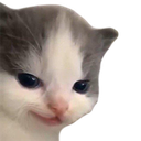 AGC_Catnothehe Discord emoji