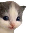 AGC_Cathehe Discord emoji