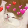 AGC_Cathearts Discord emoji