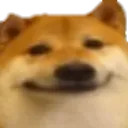 doge_smil