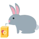 rabbit2_drink