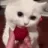 SCmunch SCmunch