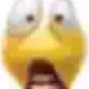 WTF
