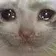 sadCat Discord Emoji