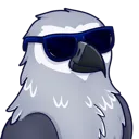 coolbirb
