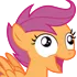 ScootDerp ScootDerp