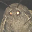 moff
