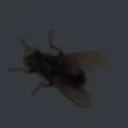 emoji_63