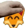FoxPat