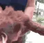 ebark