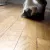 catcrawl