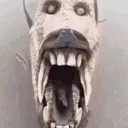 fishskullU