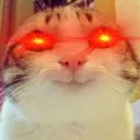 cattoMueheheBean
