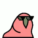 Yoloparrot