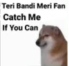 1D_teri_bandi_meri_fan
