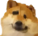 CursedBruhDoge