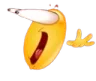 shock shock