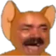 jerrykek