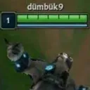 dmbk9