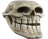 trollskull