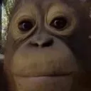 stare