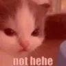 nothehe nothehe