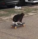 gato_bye