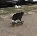 Bye Bye