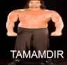 tamamdir