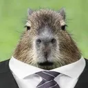 capybaralawyer capybaralawyer