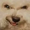 DoggoEvil