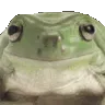 Frogyes
