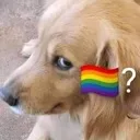 uroneofthemqueers