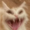 screamingcat