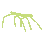 MHG_stickbug MHG_stickbug