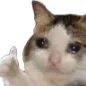 CatCryThumbsUp Discord Emoji