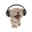 Hs_gatitoAAAAA Hs_gatitoAAAAA