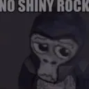 Noshinyrocks Noshinyrocks