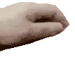 petpetpet